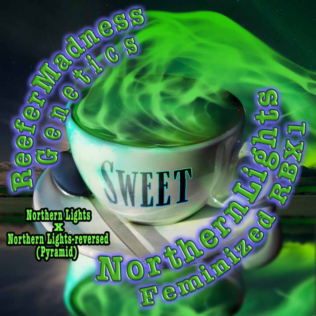 NorthernLights Feminized RBX1:
Arora Borealis working itself into a sauce with ends dripping into a bowl on a table, with a label of "Sweet" on the bowl.
name on top of the pic with NorthernLights at the top and Fem RBX1 at the bottom in arc.