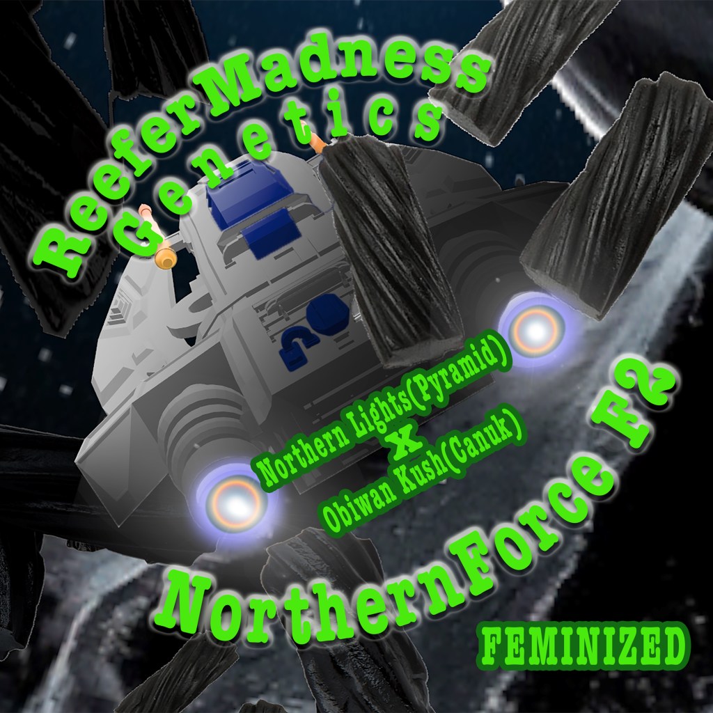 NorthernForce F2 Feminized design:
Space ship flying through chunks of black licorice.
Name setup on top of the pic with NorthernForce at the top and F2 Fem at the bottom in an arc.