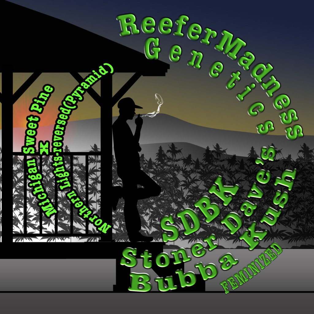 SDBK(Stoner Dave's Bubba Kush)Feminized design:
old farm house with large porch overhang, shaded gentlemen sitting on the porch holding a lit doobie.
Name on top of the pic with SDBK on top and (Stoner Dave's Bubba Kush Fem) at the bottom in arc.